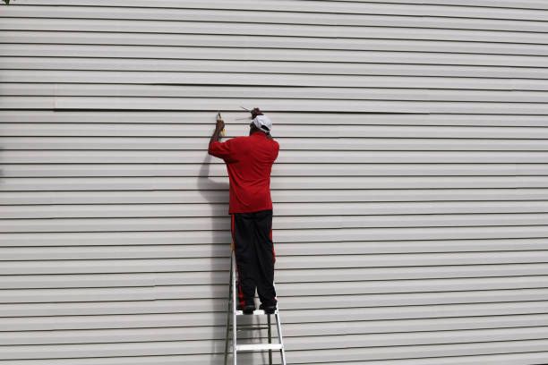 Best Custom Siding Design  in Seaville, NJ